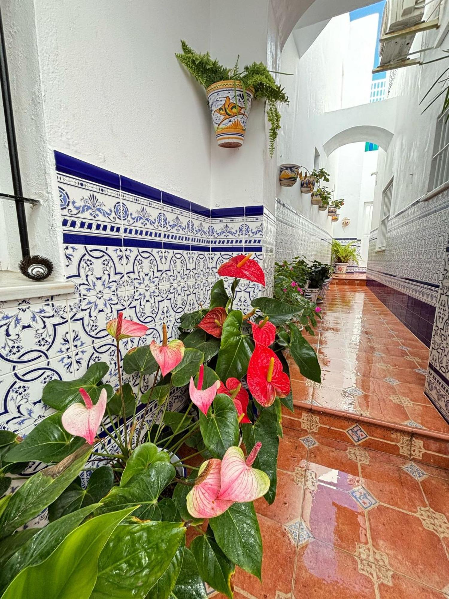 Pacoplaza Villa โกนิล เด ลาฟรอนเตรา ภายนอก รูปภาพ